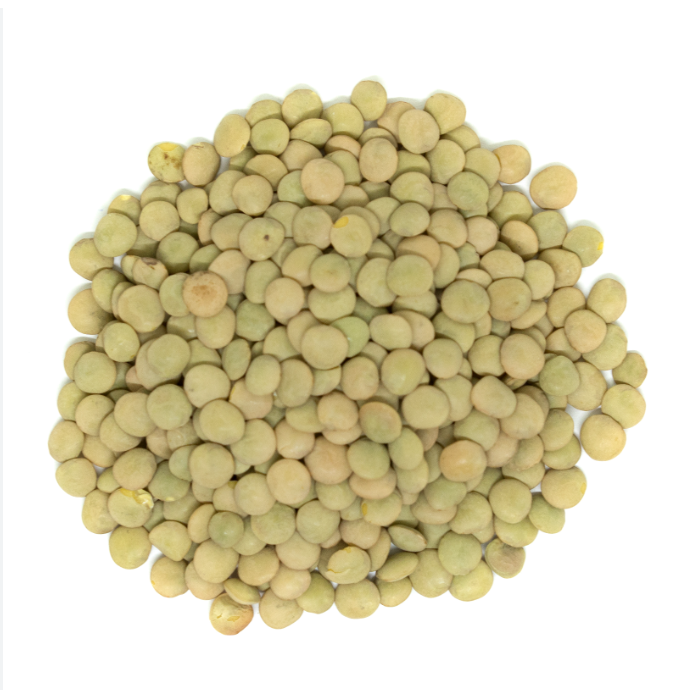 GREEN LENTILS