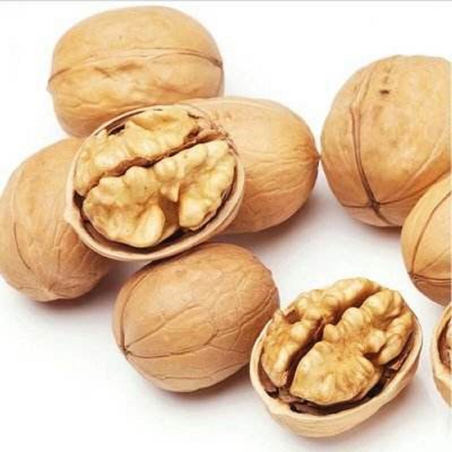 WALNUTS