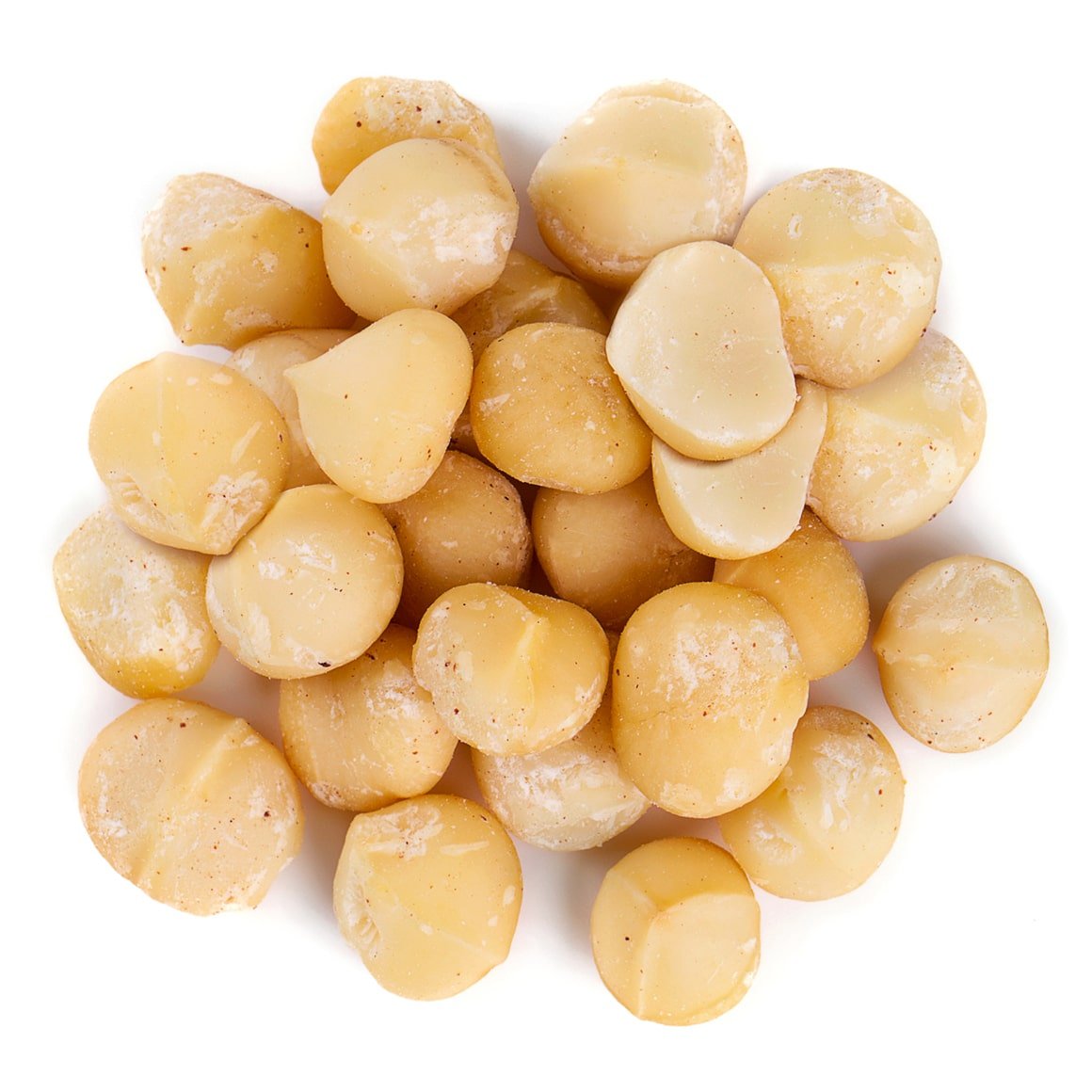 MACADAMIA NUTS