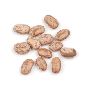 PINTO BEANS