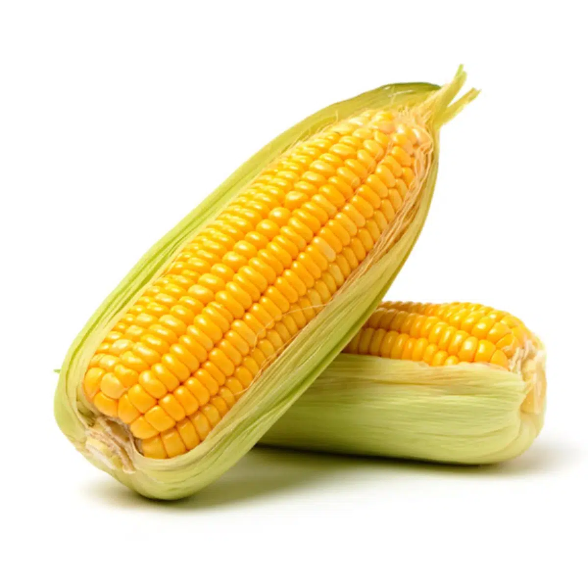 MAIZE/CORN
