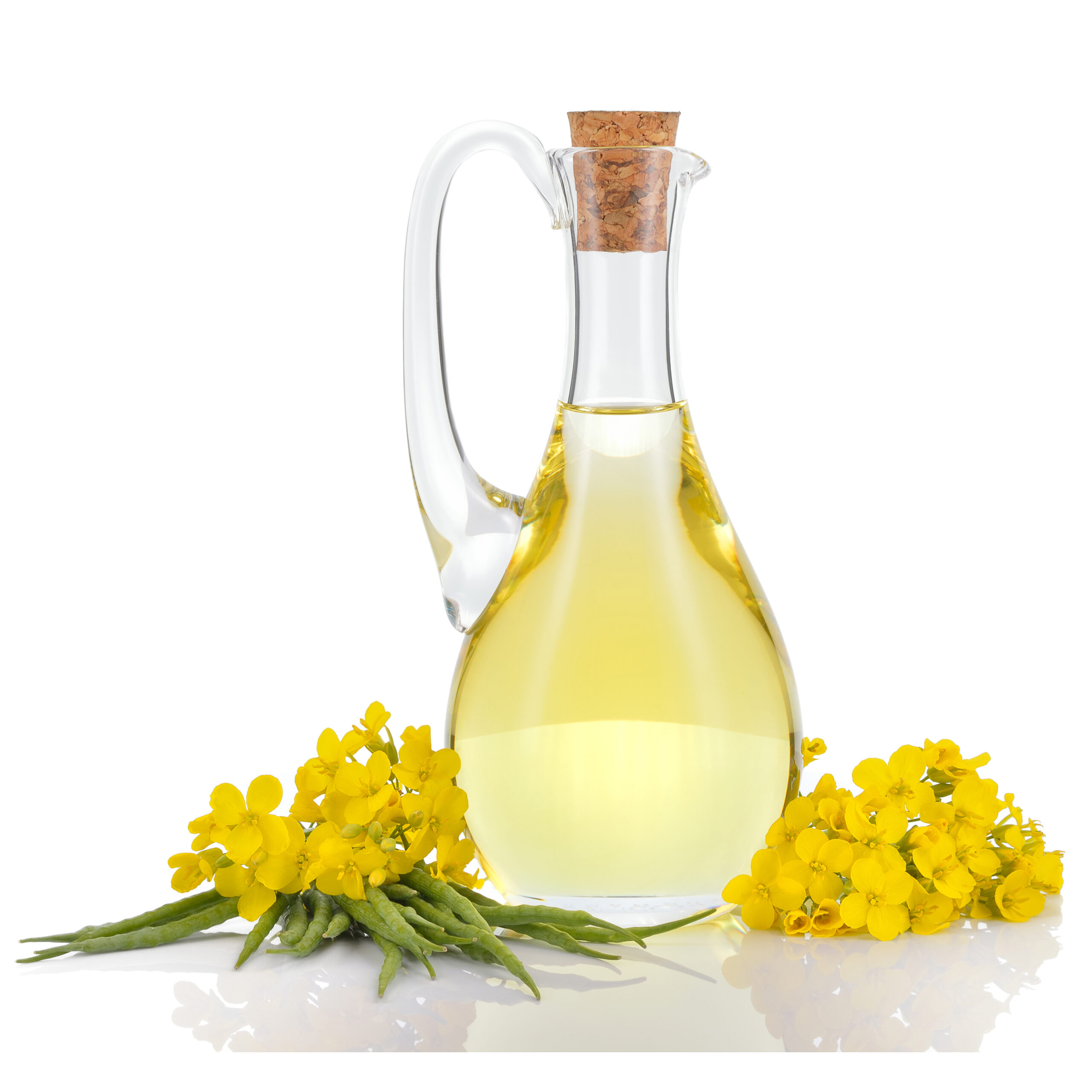 REFINED CANOLA OIL /RAPESEED OIL