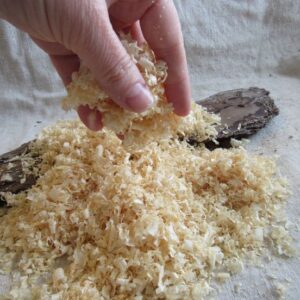 Wood Shaving